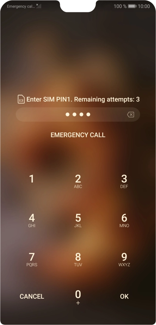 If you're asked to key in your PIN, do so and press OK. The default PIN is 1111.