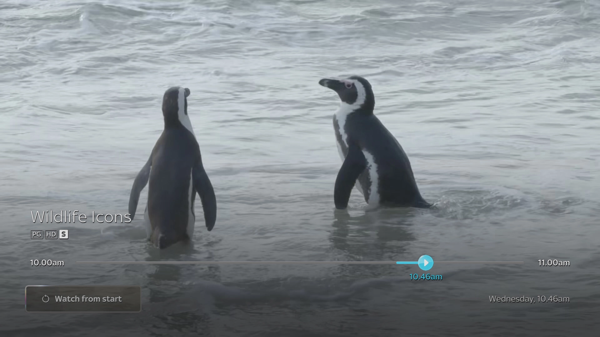 Select Watch from start to watch the TV programme from the beginning.