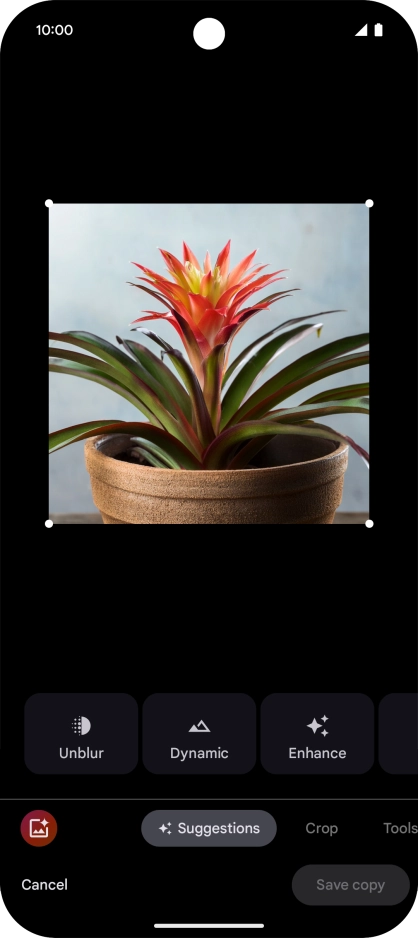 Press the AI icon and follow the instructions on the screen to use the function.