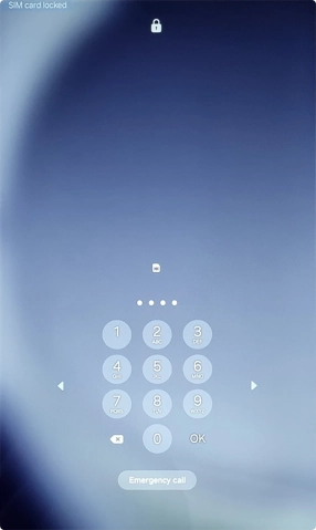 If you're asked to key in your PIN, do so and press OK. The default PIN is 1111.