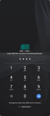 If you're asked to key in your PIN, do so and press arrow right. The default PIN is 1111.