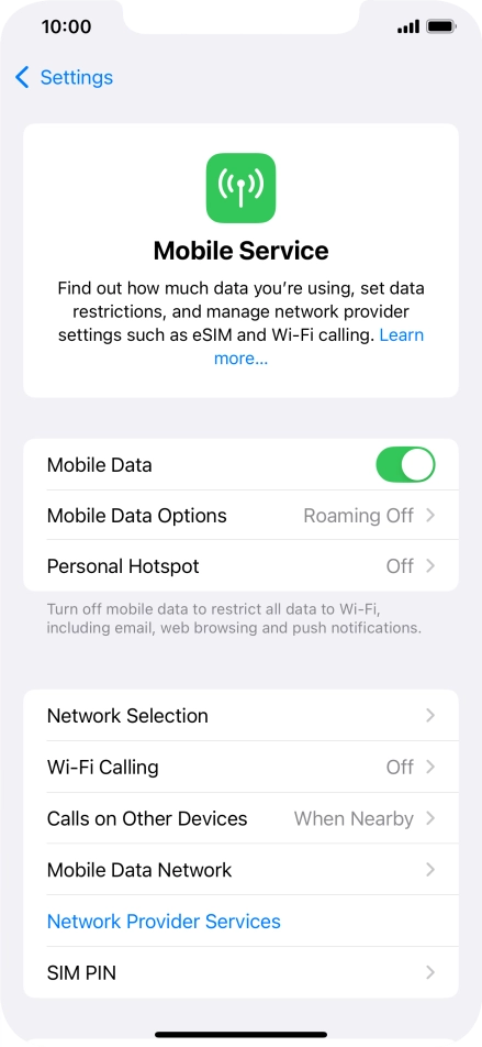 Press Mobile Data Options.