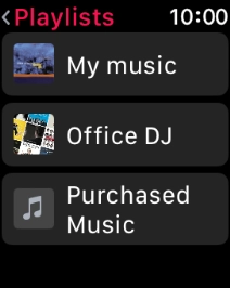 Press the required playlist to start playback.