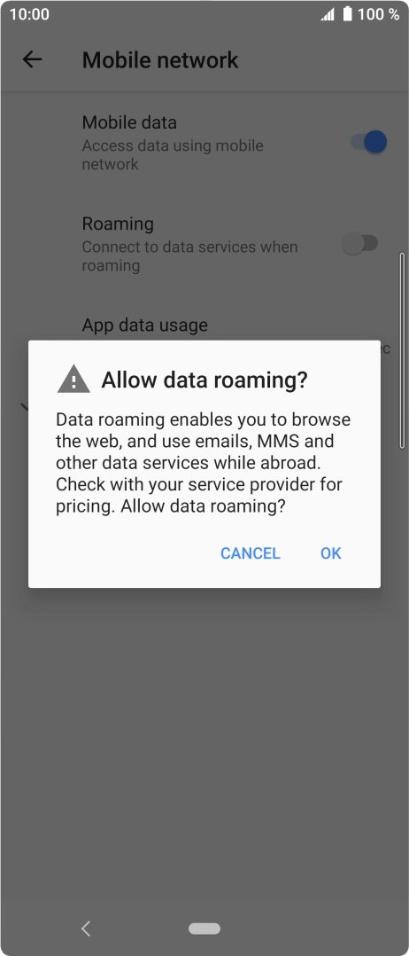 If you turn on data roaming, press OK.