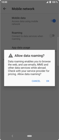 If you turn on data roaming, press OK.