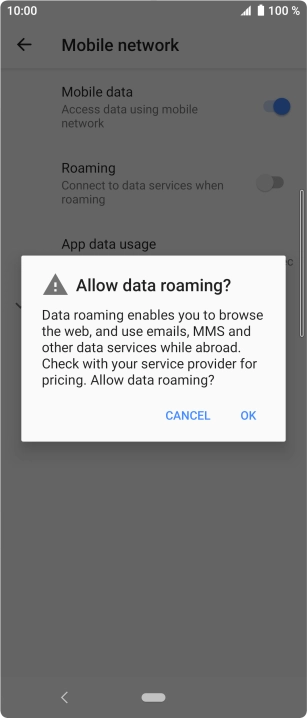 If you turn on data roaming, press OK.