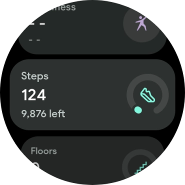 The number of steps for the day is displayed below Steps.