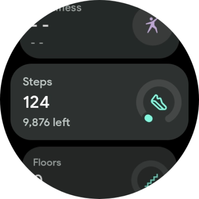 The number of steps for the day is displayed below Steps.