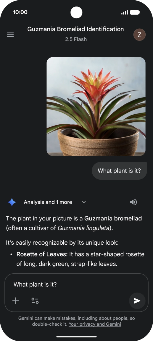 Follow the instructions on the screen to type or speak more questions to continue the conversation.