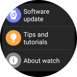 Press Software update.