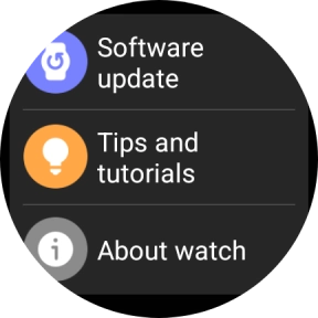 Press Software update.