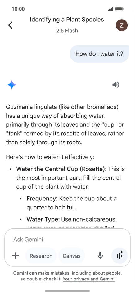 Follow the instructions on the screen to type or speak more questions to continue the conversation.