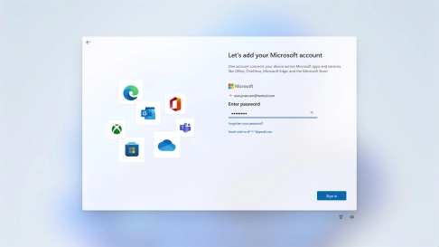 Key in the password for your Microsoft account and click Sign in.
