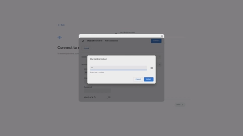 Key in your PIN and click Unlock. The default PIN is 1111.