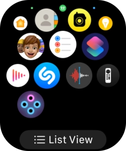 Press the Digital Crown to return to the home screen.