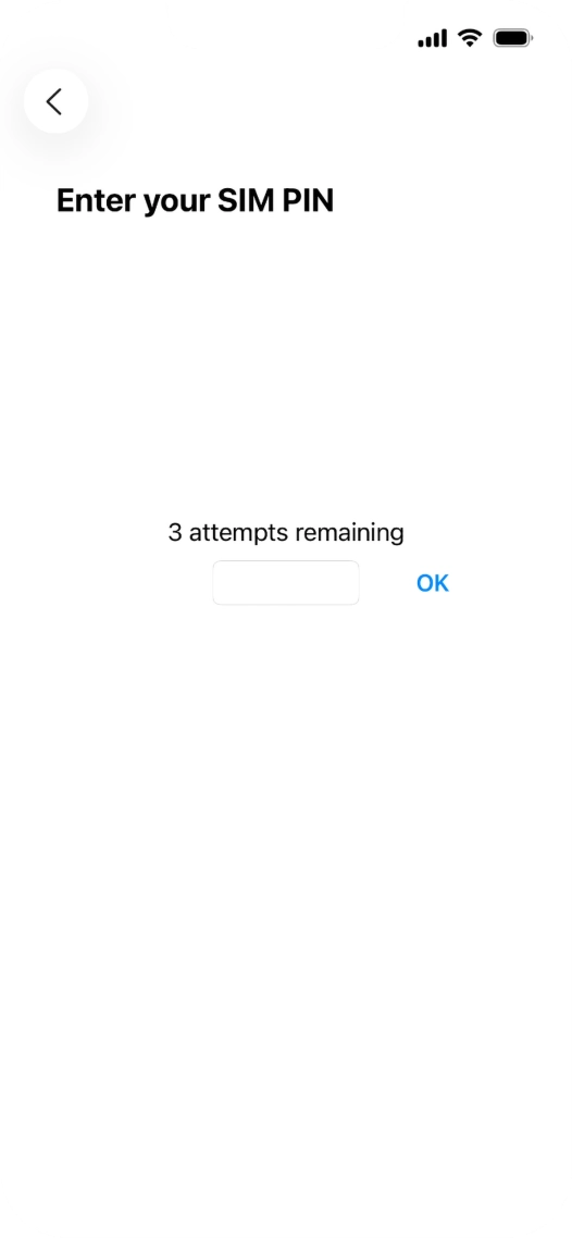 If your SIM is locked, key in your PIN and press OK. The default PIN is 1111.
