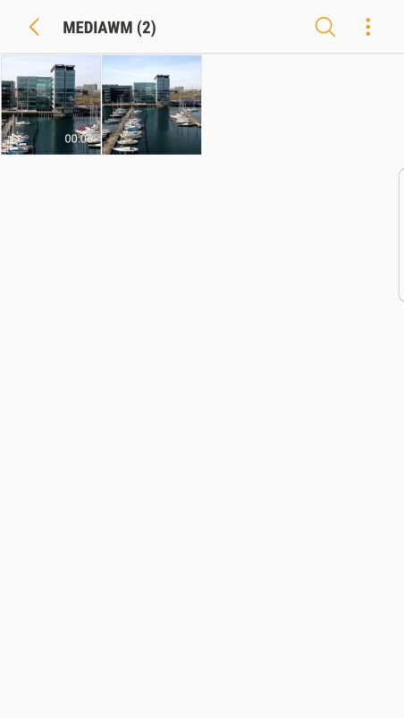 Press and hold the required picture or video clip.