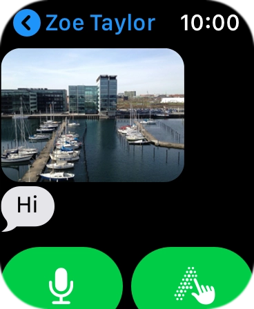 Press the microphone icon and follow the instructions on the screen to record and send the message.