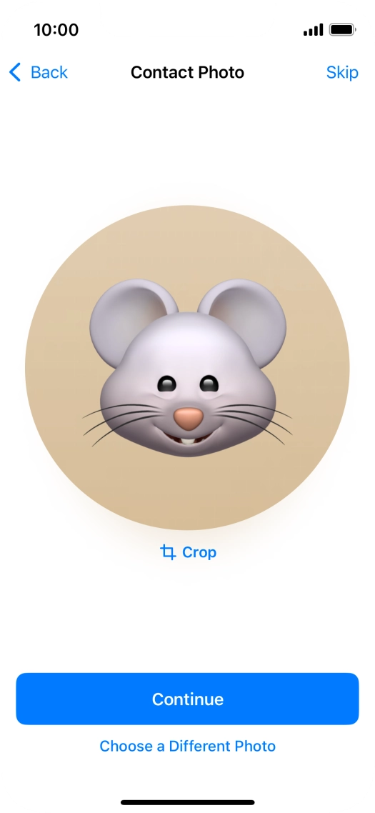 Follow the instructions on the screen to customise the selected picture and press Continue.