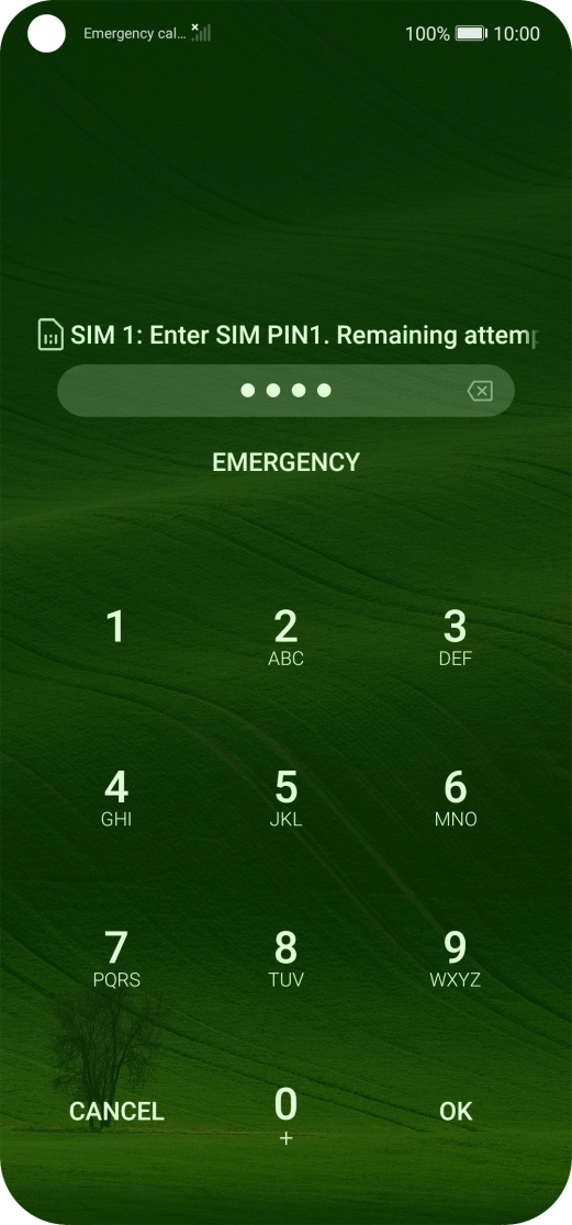 If you're asked to key in your PIN, do so and press OK. The default PIN is 1111.