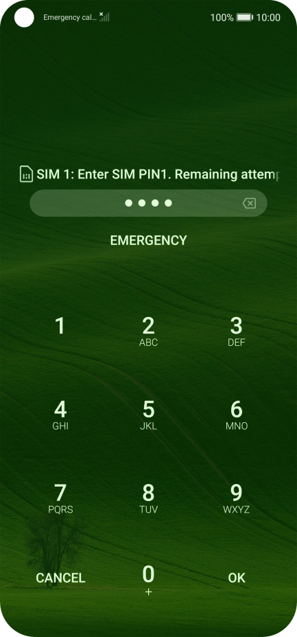 If you're asked to key in your PIN, do so and press OK. The default PIN is 1111.