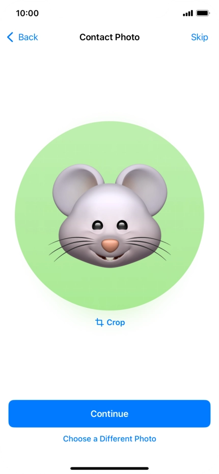 Follow the instructions on the screen to customise the selected picture and press Continue.