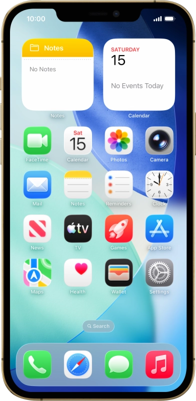 Apple iPhone 12 Pro Max