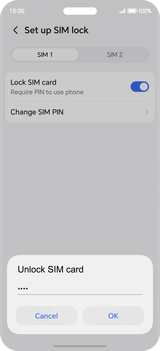 Key in your PIN and press OK. The default PIN is 1111.