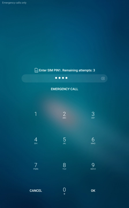 If you're asked to key in your PIN, do so and press OK. The default PIN is 1111.