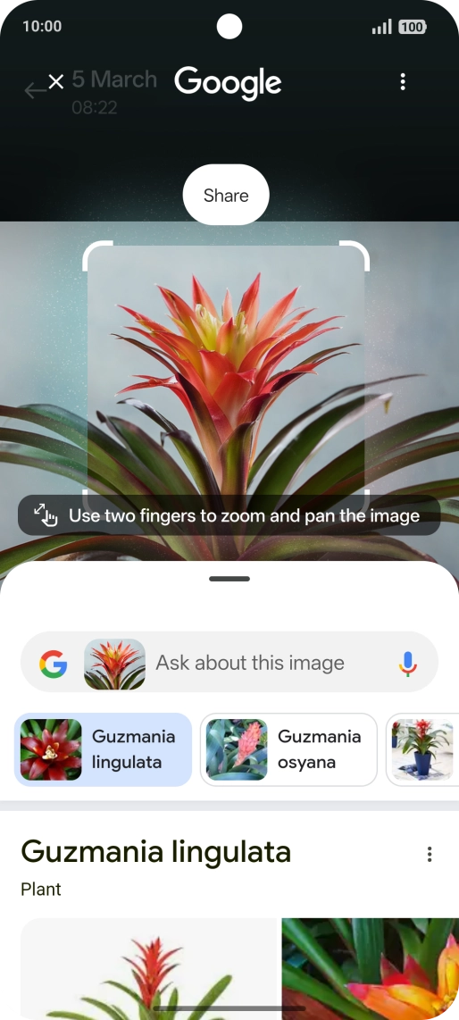 Follow the instructions on the screen to use the search results.