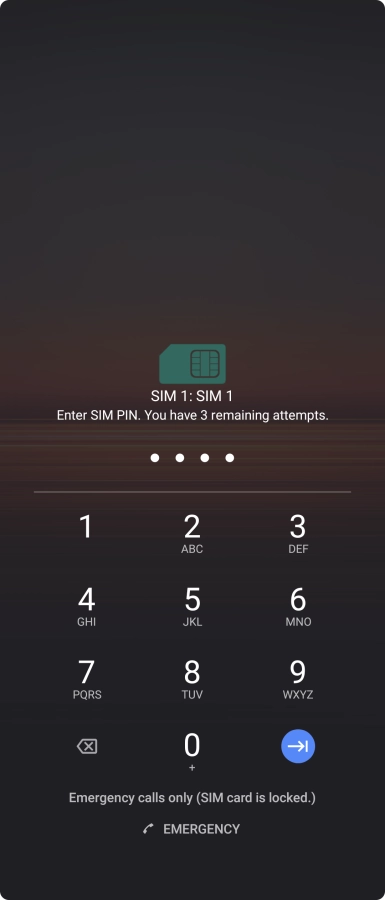 If you're asked to key in your PIN, do so and press arrow right. The default PIN is 1111.