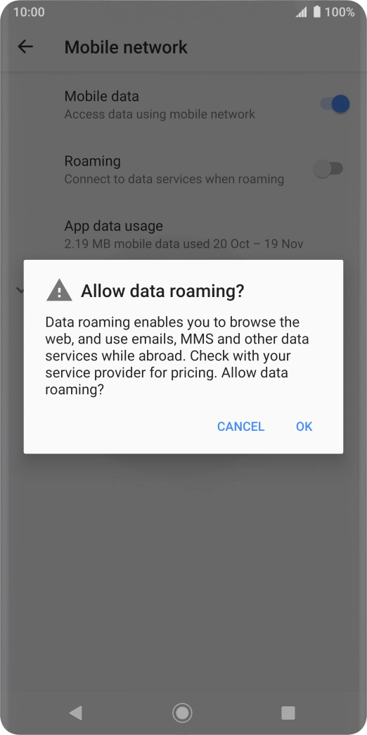 If you turn on data roaming, press OK.