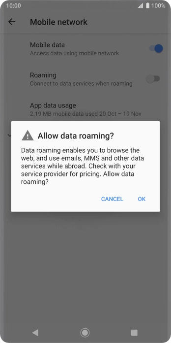If you turn on data roaming, press OK.