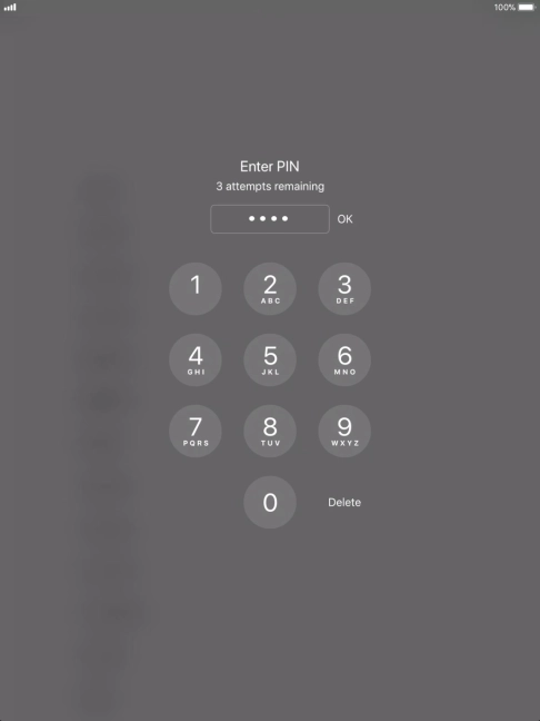 Key in your PIN and press OK. The default PIN is 1111.