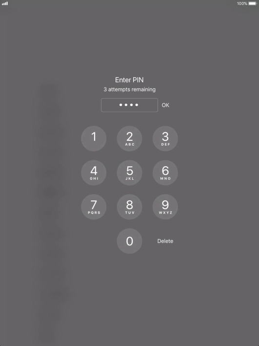 Key in your PIN and press OK. The default PIN is 1111.