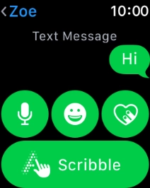 Press the microphone icon and follow the instructions on the screen to record and send the message.
