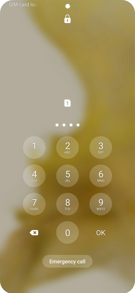 If you're asked to key in your PIN, do so and press OK. The default PIN is 1111.