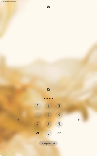 If you're asked to key in your PIN, do so and press OK. The default PIN is 1111.