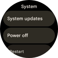 Press System updates. If a new software version is available, it's displayed. Follow the instructions on the screen to update the smartwatch software.