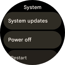 Press System updates. If a new software version is available, it's displayed. Follow the instructions on the screen to update the smartwatch software.