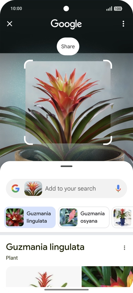 Follow the instructions on the screen to use the search results.