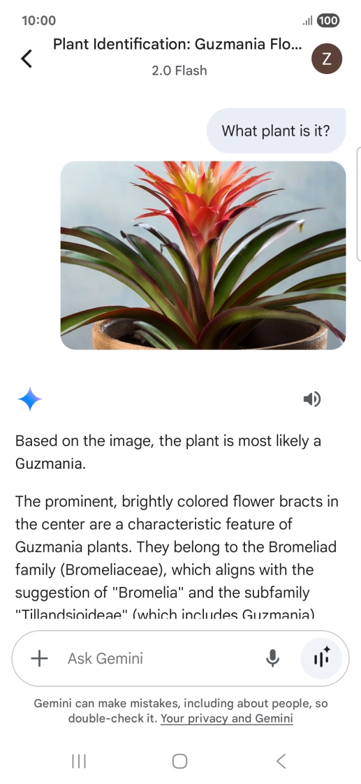 Follow the instructions on the screen to type or speak the required question. You can also attach pictures or documents and ask questions to them.