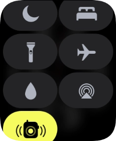 Press the Do Not Disturb icon to turn the function on or off.