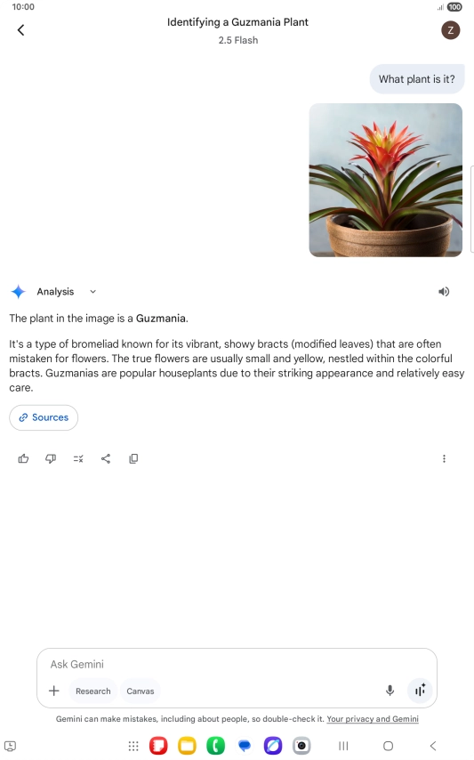 Follow the instructions on the screen to type or speak the required question. You can also attach pictures or documents and ask questions to them.