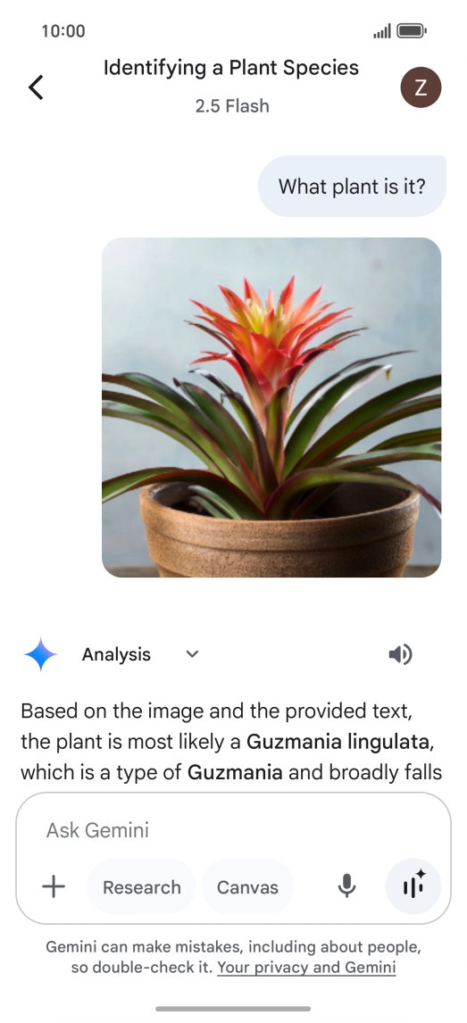 Follow the instructions on the screen to type or speak the required question. You can also attach pictures or documents and ask questions to them.