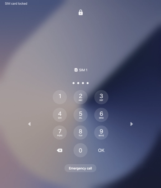If you're asked to key in your PIN, do so and press OK. The default PIN is 1111.