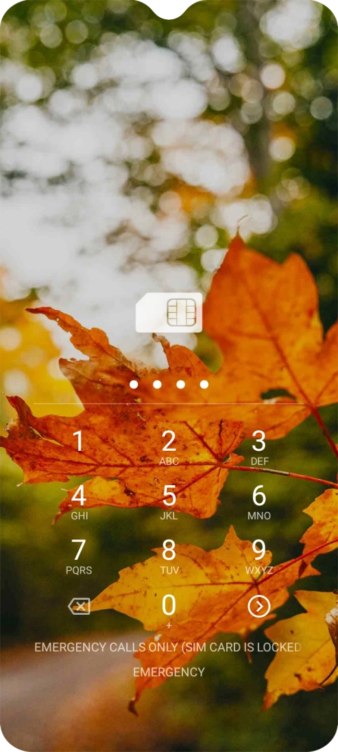 If you're asked to key in your PIN, do so and press arrow right. The default PIN is 1111.