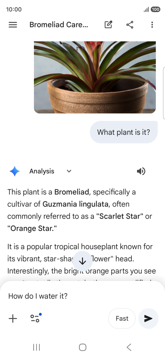 Follow the instructions on the screen to type or speak more questions to continue the conversation.