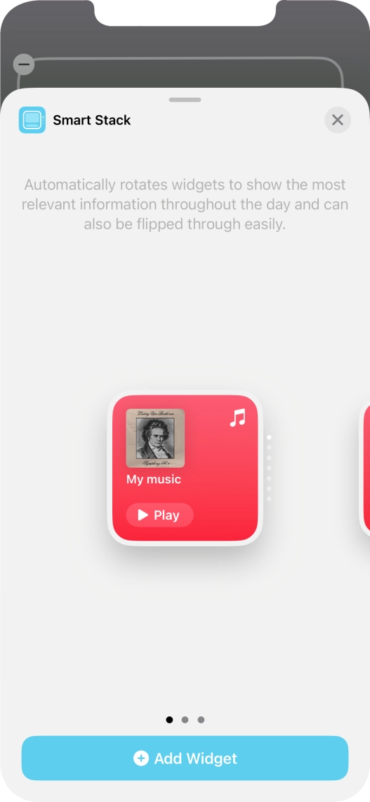 Slide your finger right or left on the screen to select the required widget size.