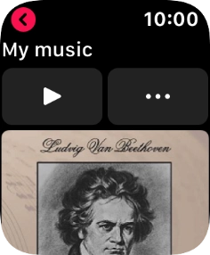 Press the play icon to start the playback.